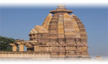 INDIA: TRIANGULO DORADO Y GANGES