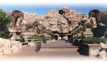 DESCUBRIR SUDAFRICA con SUN CITY en "The Palace"