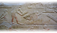 ISRAEL - JORDÂNIA - SINAI - CAIRO + ALEJANDRIA (guias em português em israel)