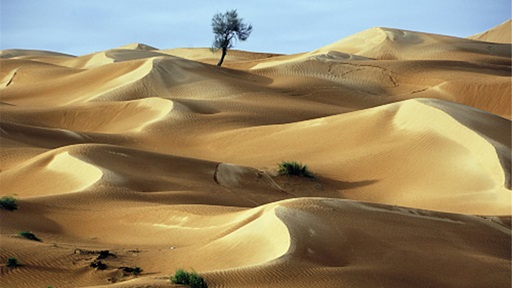 SUPER TUNÍSIA (Guia em Português)