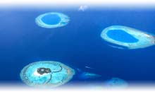 ISLAS MALDIVAS 5*: HOTEL YOU & ME BY COCOON (5 NOCHES EN HABITACION LAGOON VILLA EN TI)