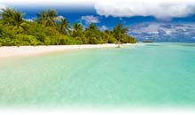 ISLAS MALDIVAS 5*: HOTEL YOU & ME BY COCOON (5 NOCHES EN HABITACION BEACH SUITE POOL EN TI)