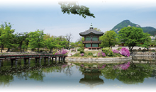 paquete turistico COLORES DE COREA (Guía de habla hispana) (desde Noviembre 2025)