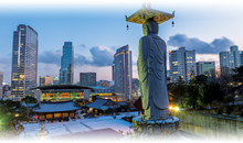 paquete turistico COLORES DE COREA CON ISLA DE JEJU (Guía de habla hispana) (desde Noviembre 2025)