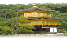 JAPON ESENCIAL CON OSAKA (TOKYO-TOKYO)