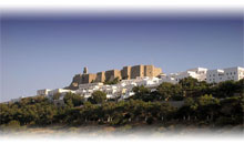 GRECIA AL COMPLETO Y CRUCERO 4 DIAS "Celestyal Cruises"