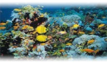 EGITO E CRUZEIRO 3 DIAS PELO NILO E MAR VERMELHO - EXCLUSIVO SPECIAL TOURS (Guía em Português)