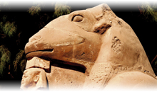 SUPER EGITO COM CRUZEIRO 4 DIAS PELO NILO - EXCLUSIVO SPECIAL TOURS (Guia em português)