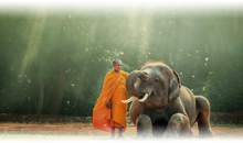 ISTAMBUL E TAILÂNDIA COM PHUKET DESDE SÃO PAULO - EXCLUSIVO SPECIAL TOURS