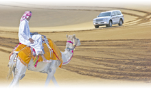 DESCOBRINDO DUBAI E ABU DHABI - EXCLUSIVO SPECIAL TOURS (Guia em português)