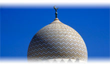 TRES EMIRADOS: DUBAI, ABU DHABI E FUJAIRAH - EXCLUSIVO SPECIAL TOURS (Guia em português)