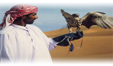 MARAVILHAS DE DUBAI E ABU DHABI - EXCLUSIVO SPECIAL TOURS (Guia em português)