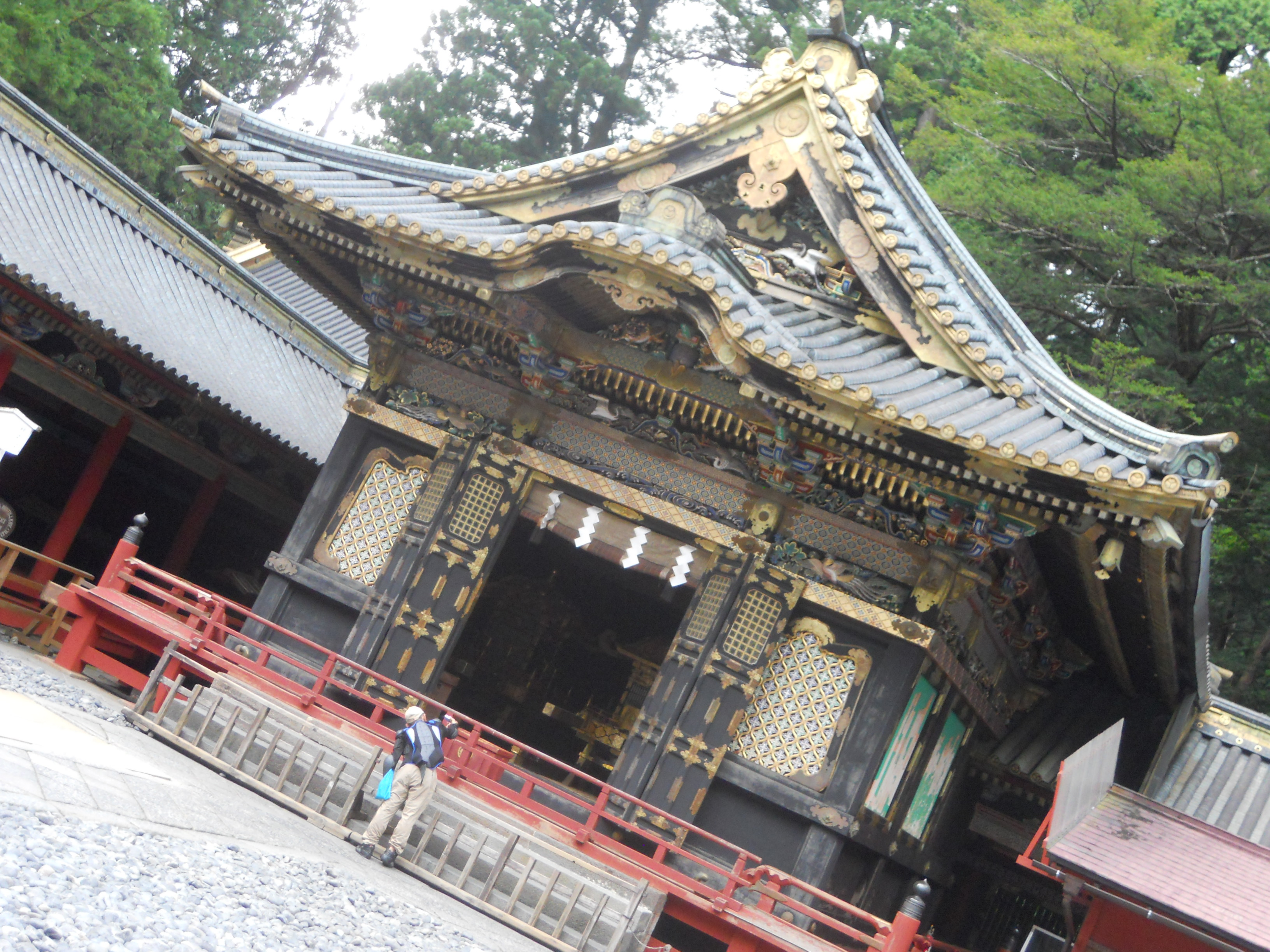 OFERTA SUPER JAPON CON DUBAI GRATIS