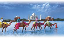 OFERTA INDIA: TRIANGULO DORADO CON ESTAMBUL GRATIS