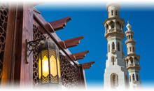 OFERTA INDIA: TRIANGULO DORADO CON DUBAI GRATIS