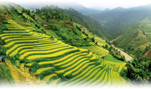 NORTE DO VIETNÃ COM MAI CHAU (Guia em português)