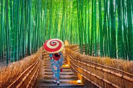 JAPON ESENCIAL CON OKINAWA