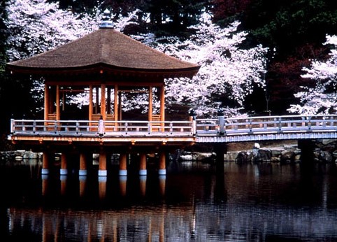 SUPER JAPON Y CHINA (TOKYO - TOKYO) - EXCLUSIVO SPECIAL TOURS (Hasta Marzo 2027)