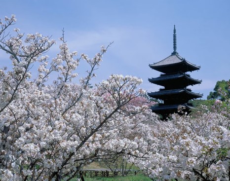 SUPER CHINA Y JAPON (TOKYO - TOKYO) CON COREA - EXCLUSIVO SPECIAL TOURS (Desde Abril 2027)