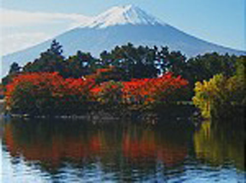 JAPON NINJA (Desde Abril 2027)
