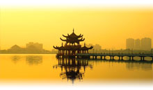 CHINA Y JAPON UNICOS