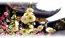 MARAVILLAS DE CHINA Y JAPON (guías locales en español)